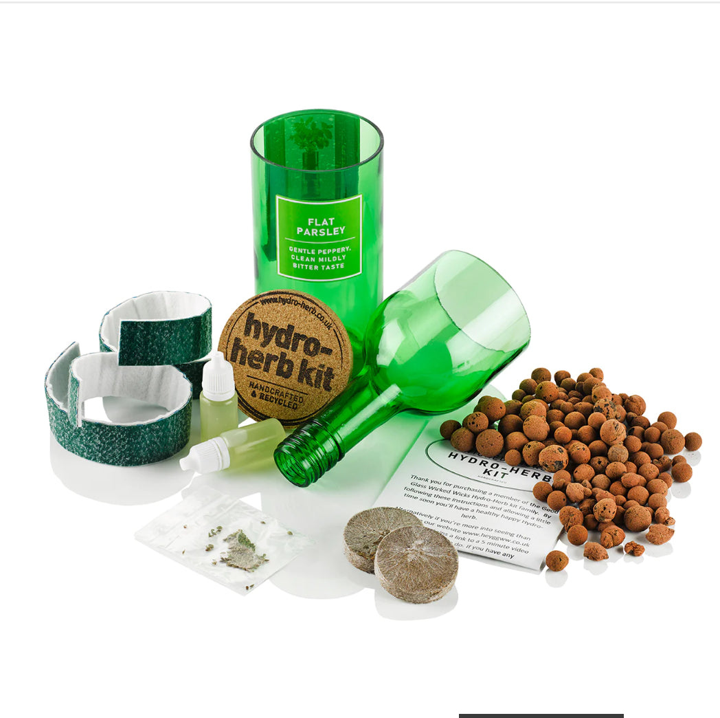 Thyme Hydro-Herb kit