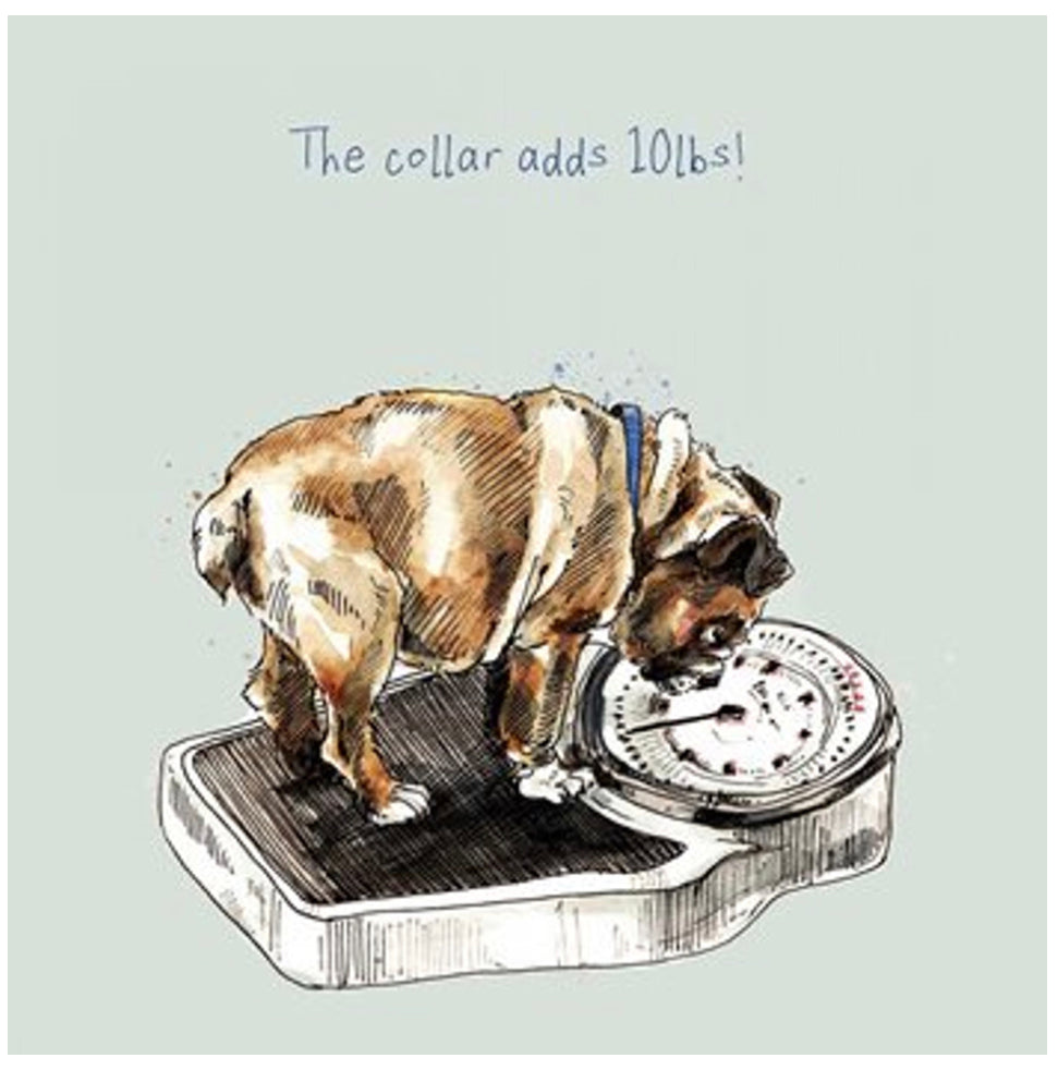 The collar adds 10lbs! Card by artbeat