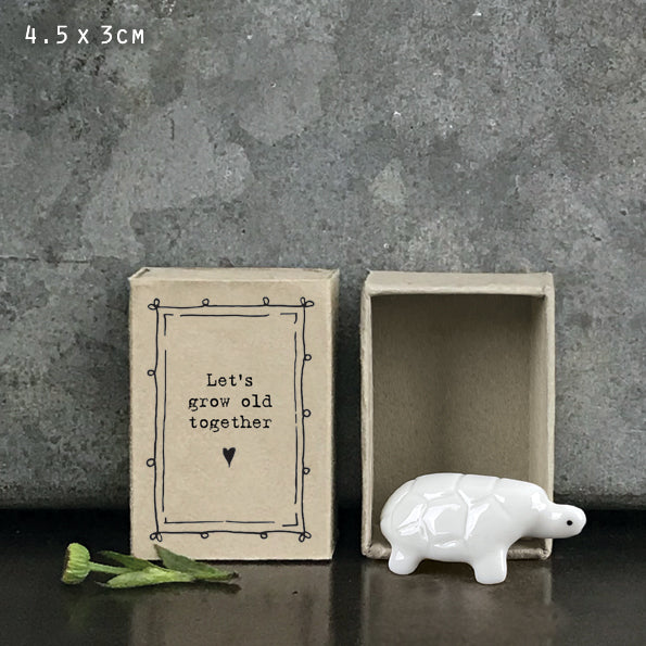 Matchbox tortoise- let’s grow old together