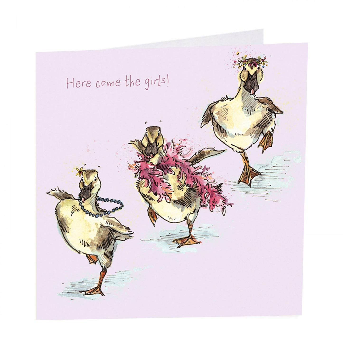 Here come the girls . Ducklings card