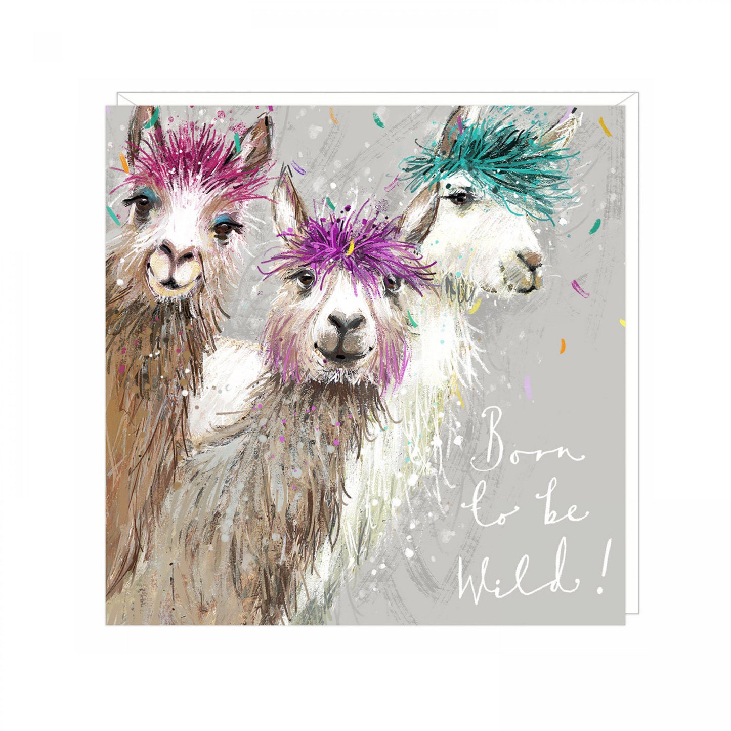 Born to be wild llama birthday card