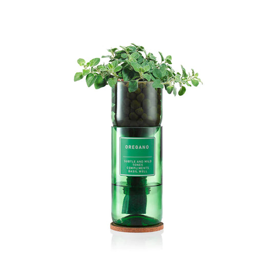 Grow your own Oregano Hydro-herb kit