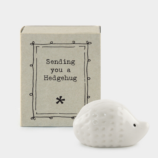 Hedgehog matchbox ceramic by east of India.  Sending you a Hedgehug