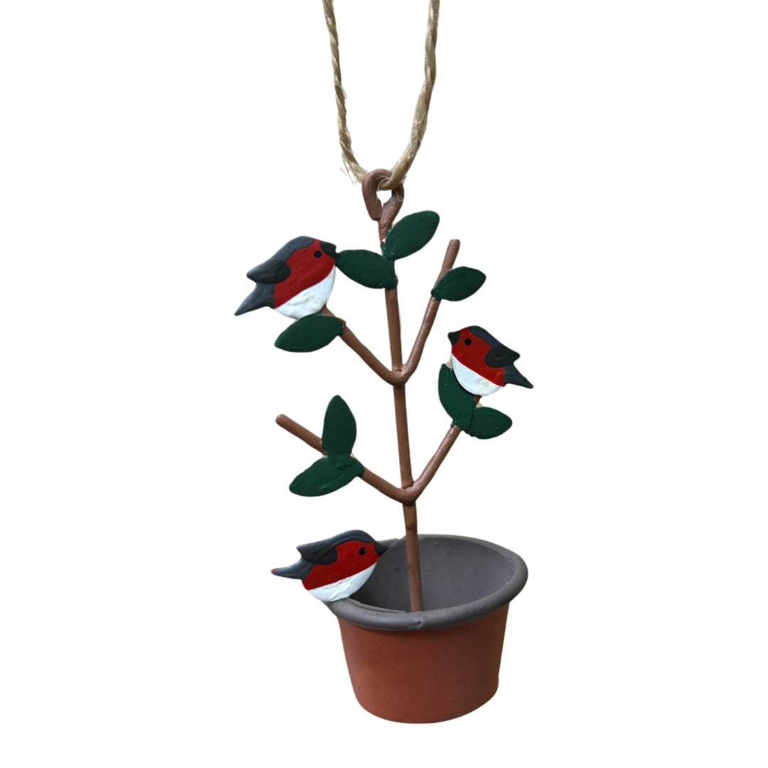 Robins on a plant hanging Christmas decoration by shoeless joe