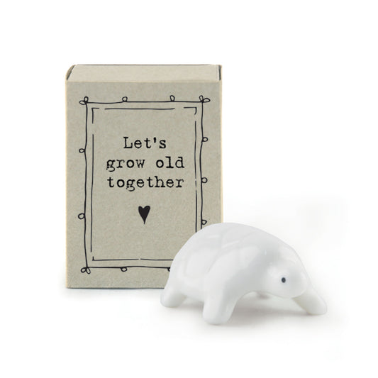 Matchbox tortoise- let’s grow old together
