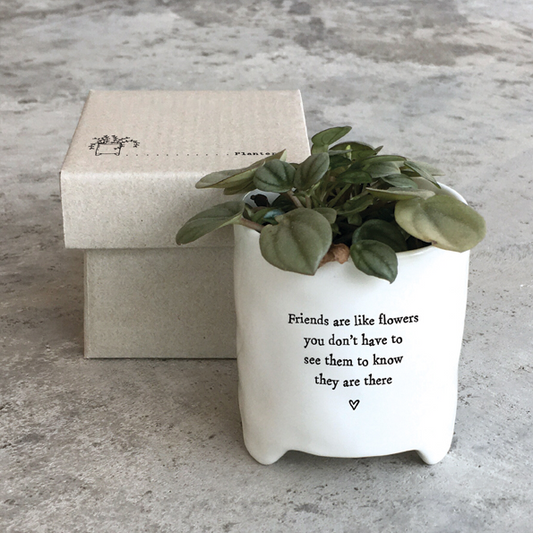 Friends are like flowers' small plant pot by east of india