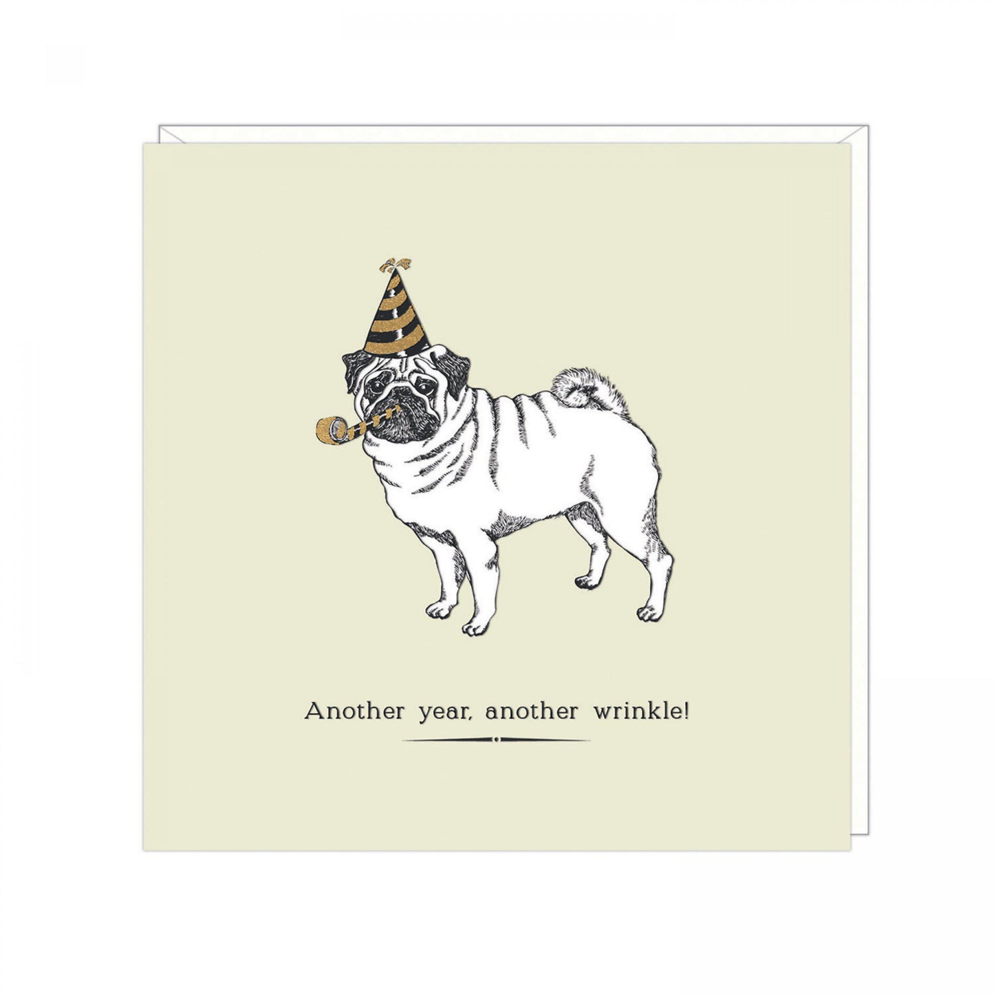 Card - Another year, another wrinkle! Dog birthday card.