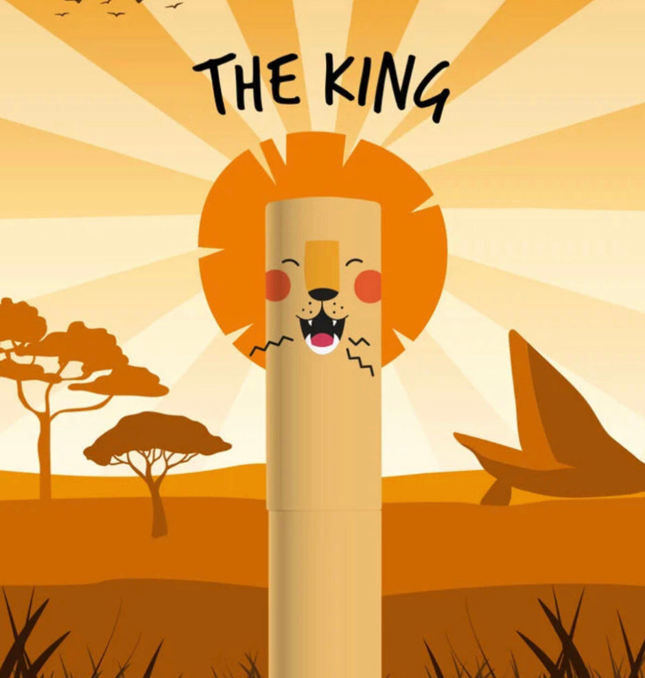 Lion erasable pen, legami milano