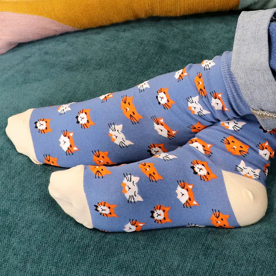 Blue mix cat themed triple sock boxed set