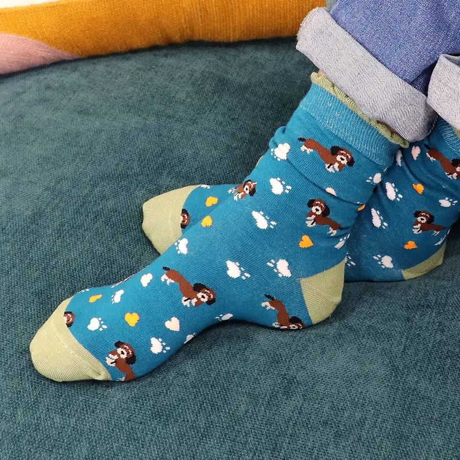 Teal mix dog themed triple sock boxed set