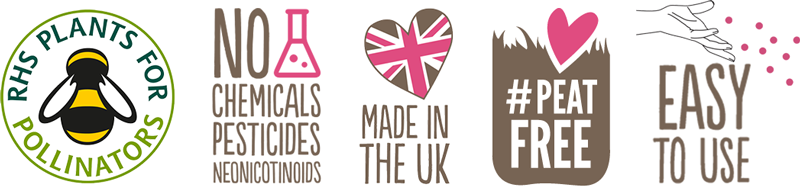 Bumble Bee Seedball matchbox