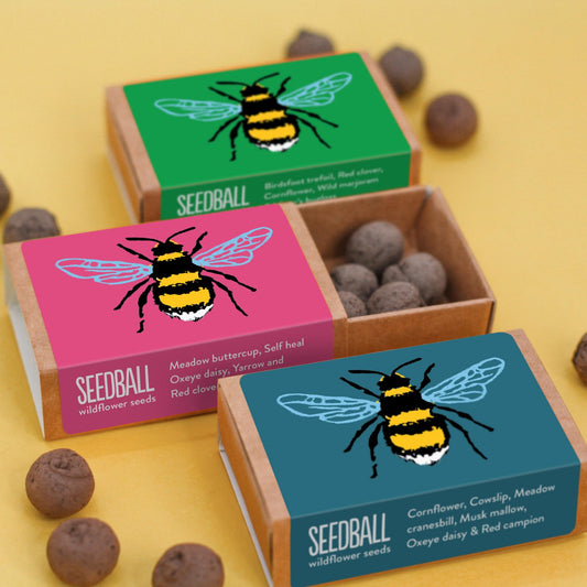 Bee Box seedball Matchbox