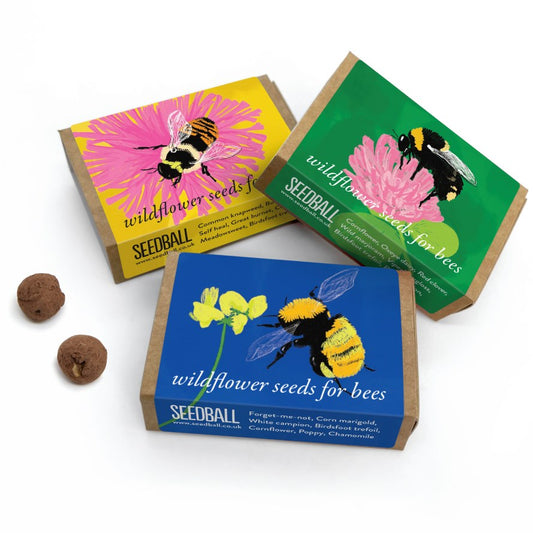 Bumble Bee Seedball matchbox