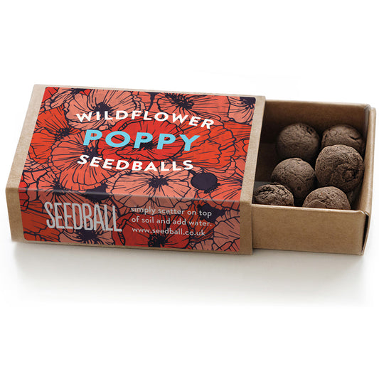 Match box  Poppy seedballs