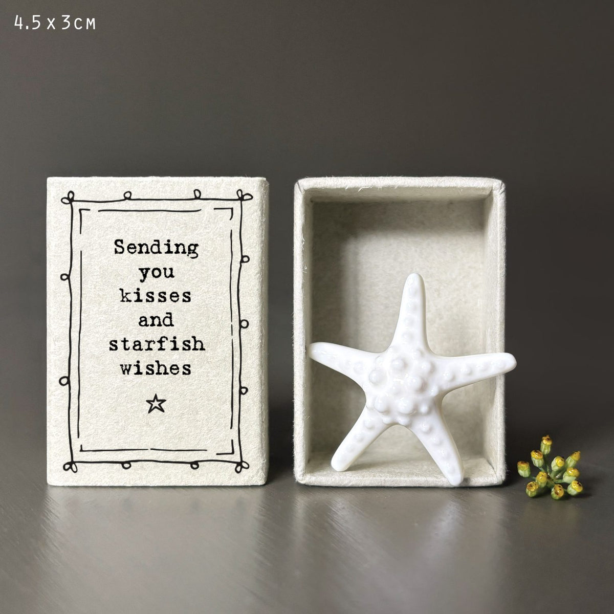 Matchbox-Starfish.