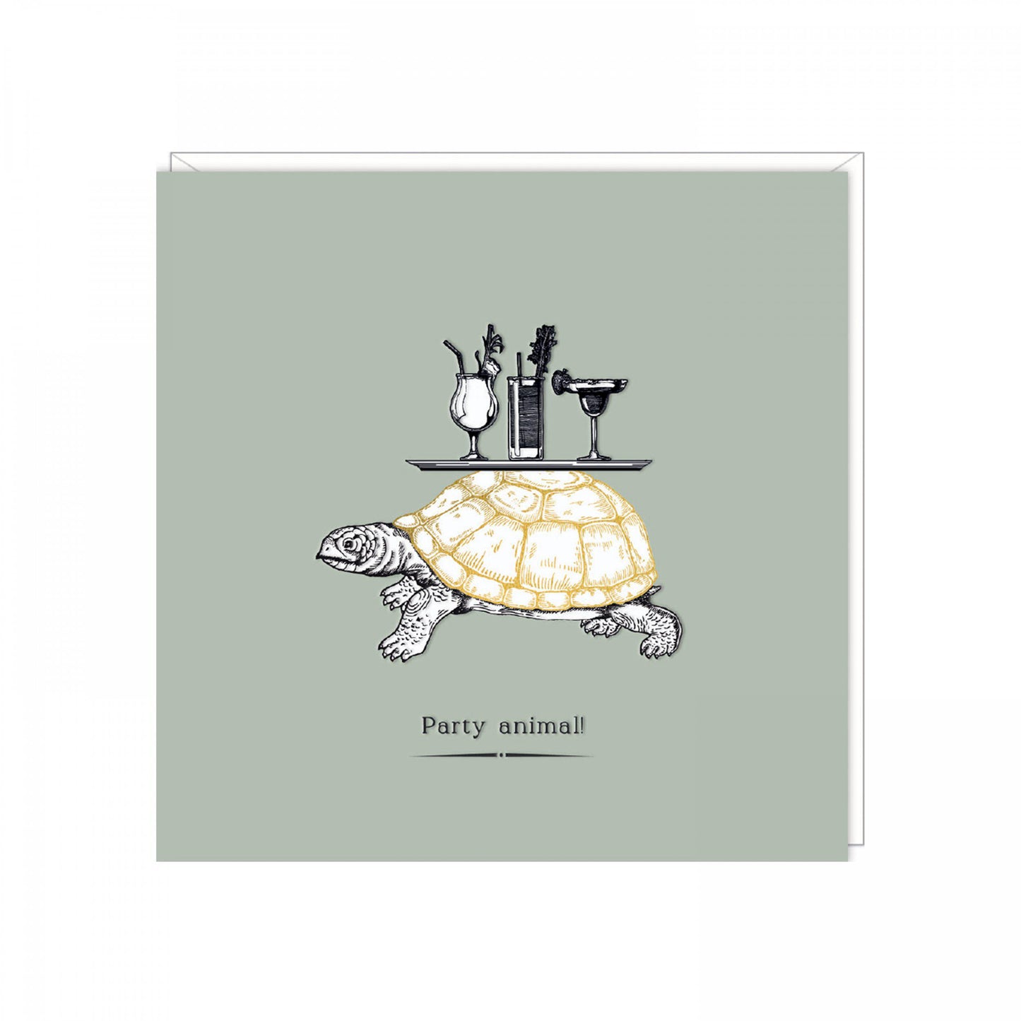 Party on- tortoise birthday card