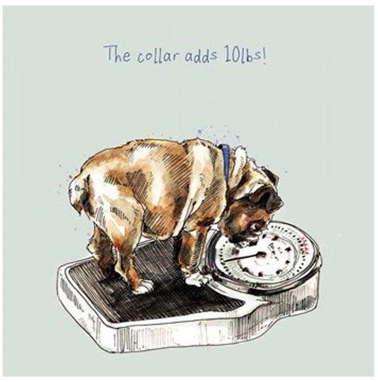 The collar adds 10lbs! Card by artbeat