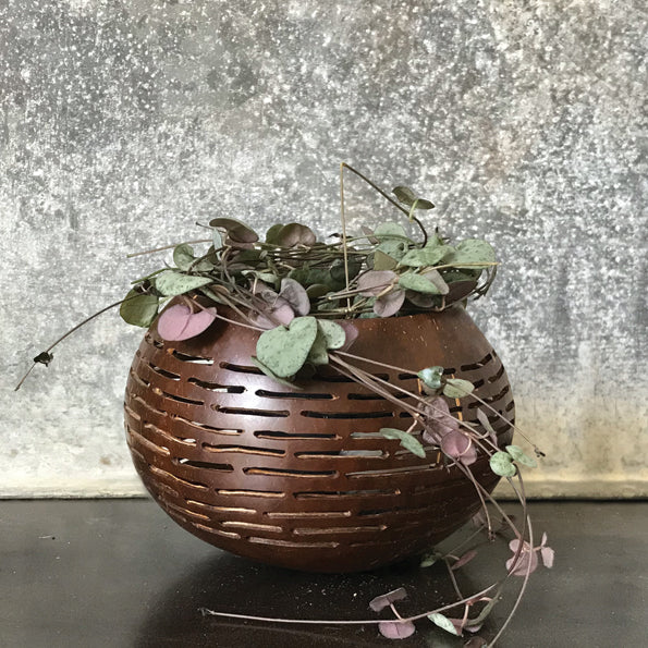 Dark coconut bowl plant holder.