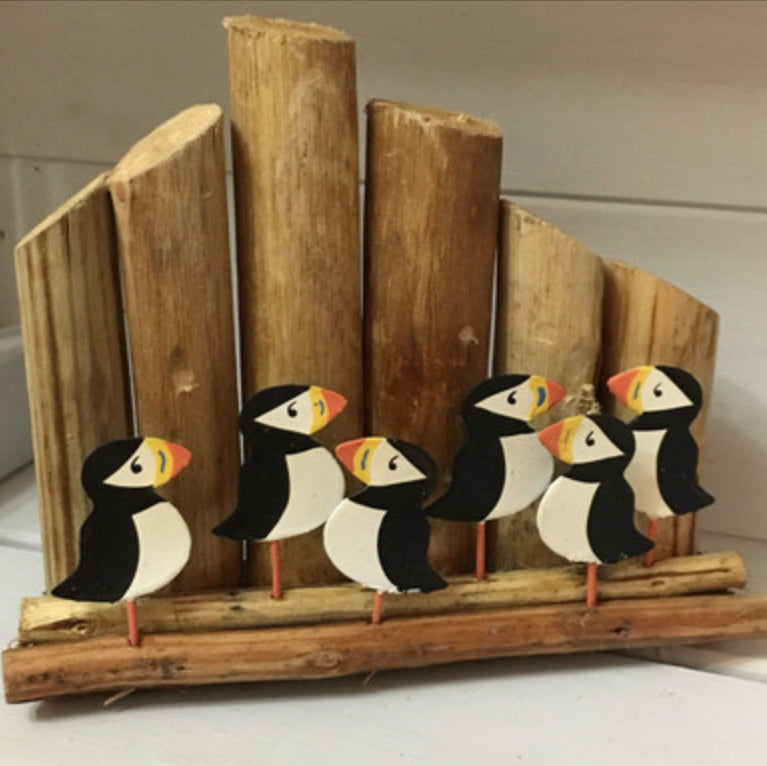 Shoeless Joe Puffins on  groynes