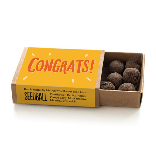 Congrats! seedball matchbox