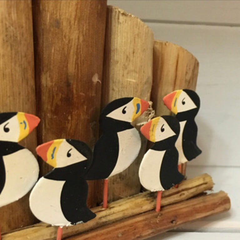 Shoeless Joe Puffins on  groynes