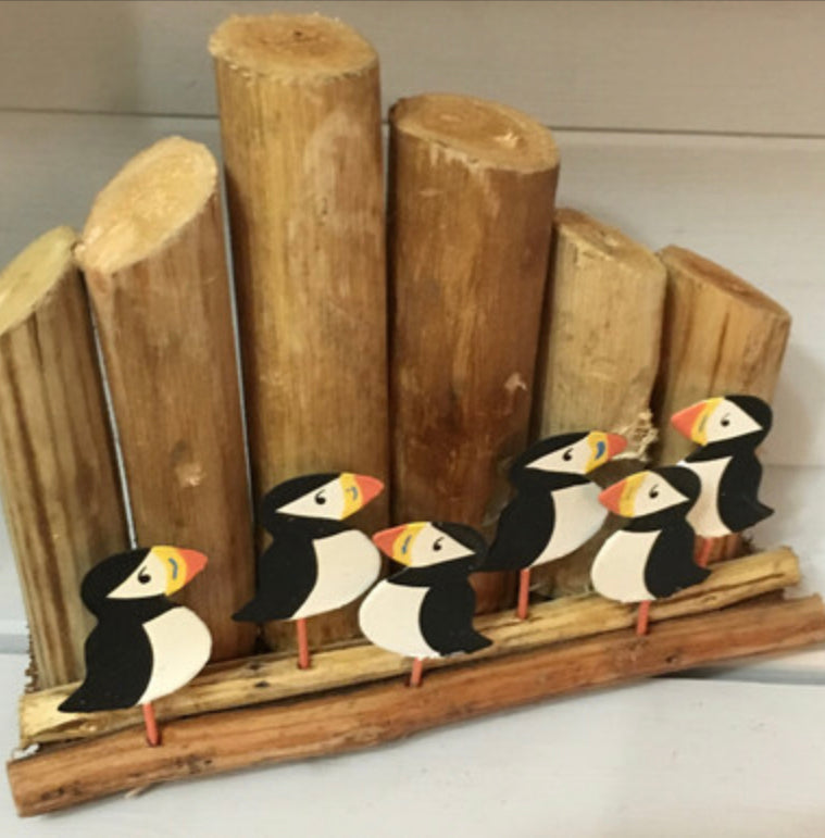 Shoeless Joe Puffins on  groynes