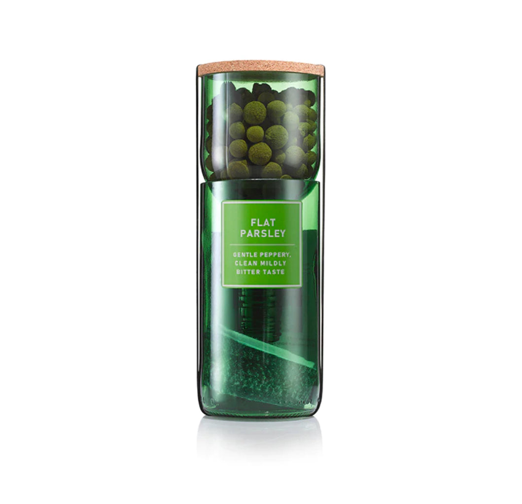 Flat Parsley Hydro-Herb kit