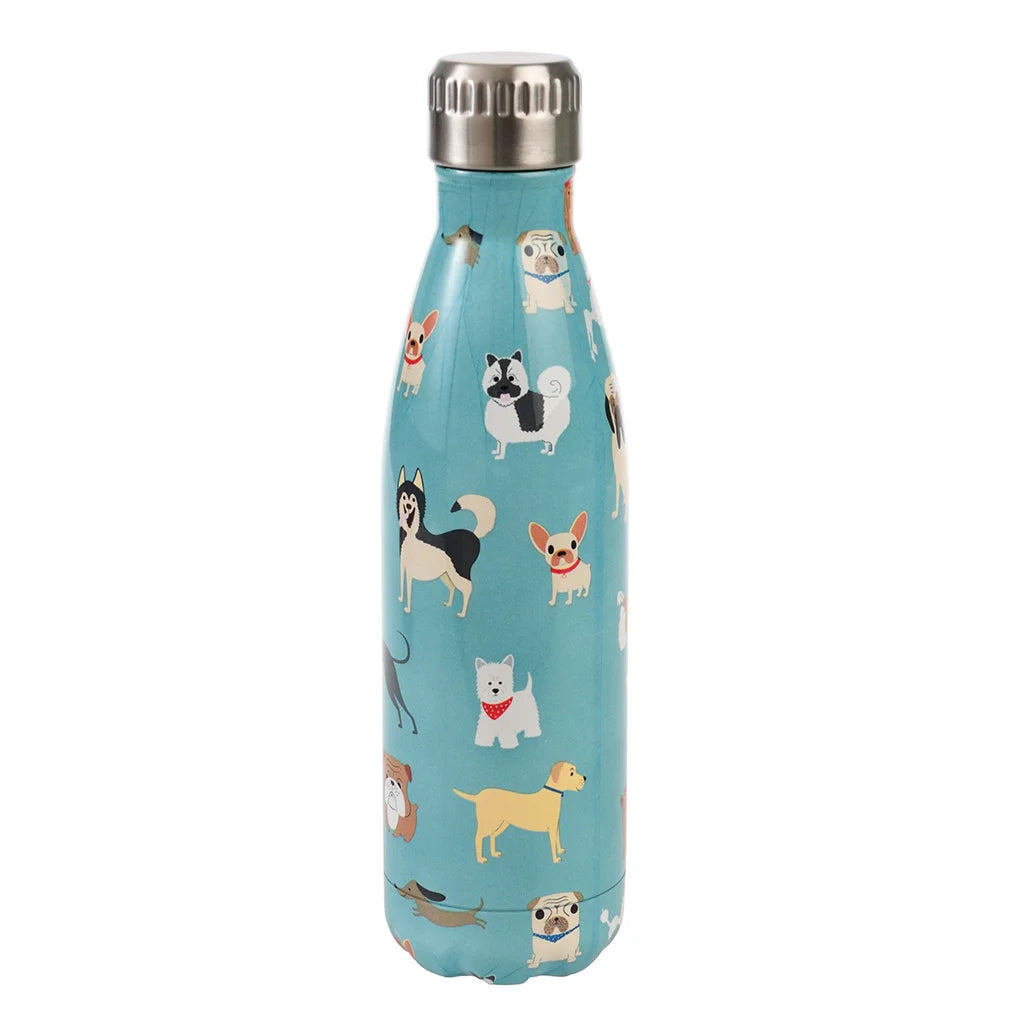 Stainless steel bottle 500ml - Best in Show