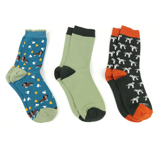 Teal mix dog themed triple sock boxed set