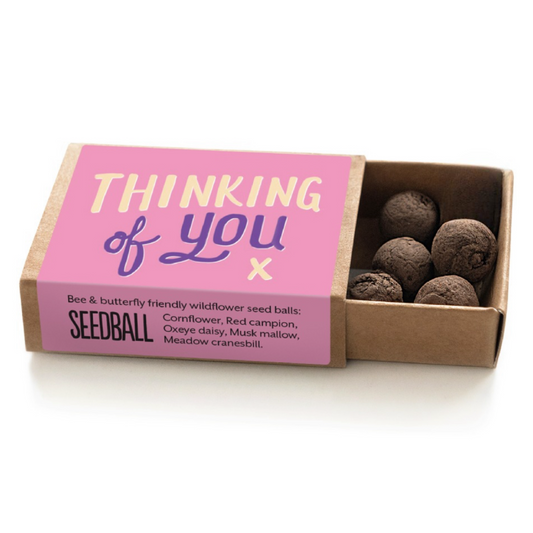 Thinking of you seedball matchbox