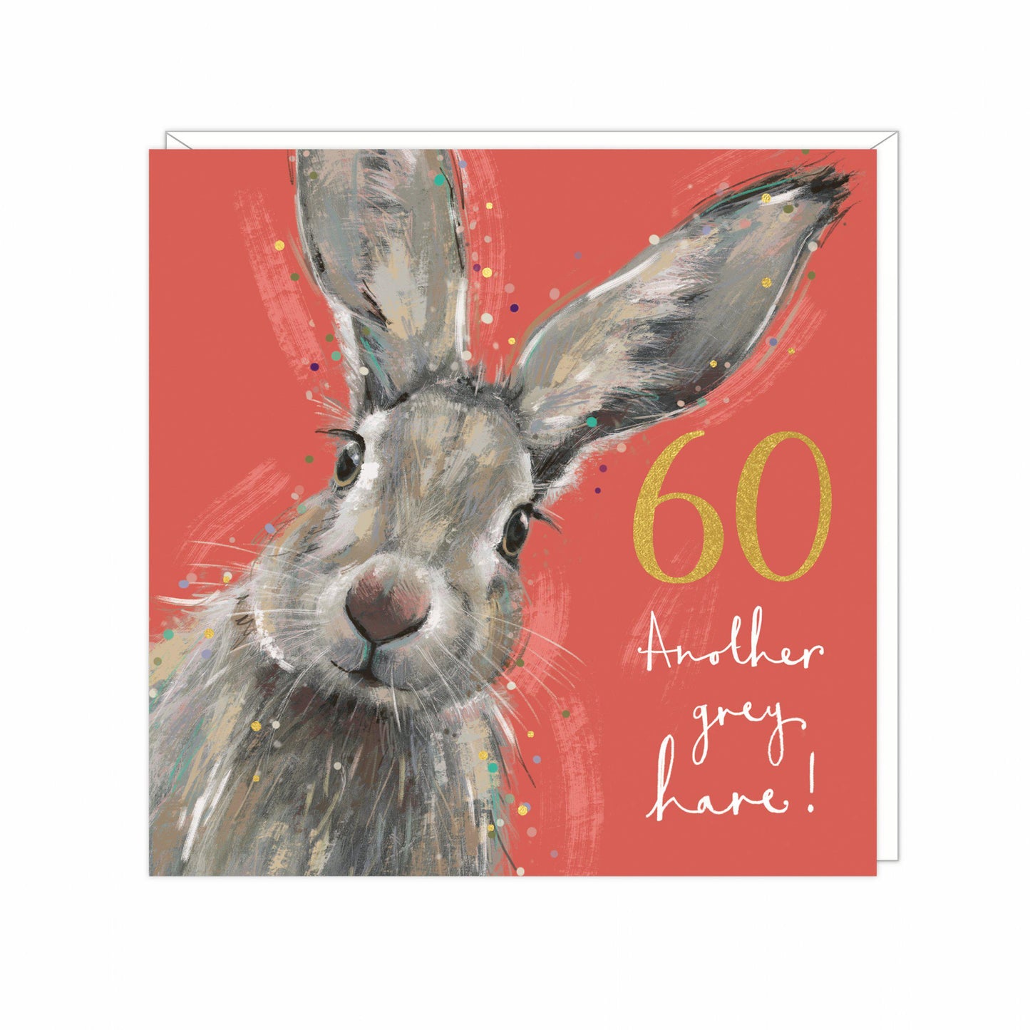60th birthday card- Another grey hare
