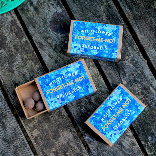 Forget-me-not seedball matchbox