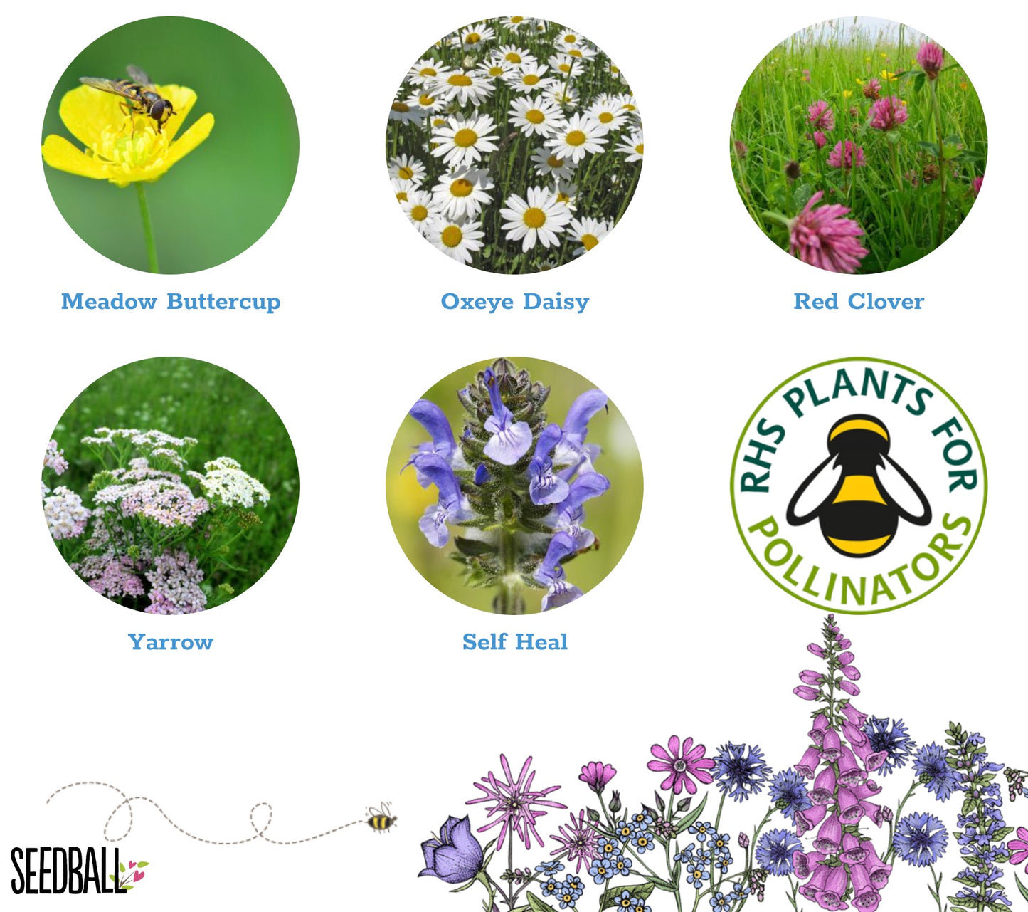 Bee Box seedball Matchbox