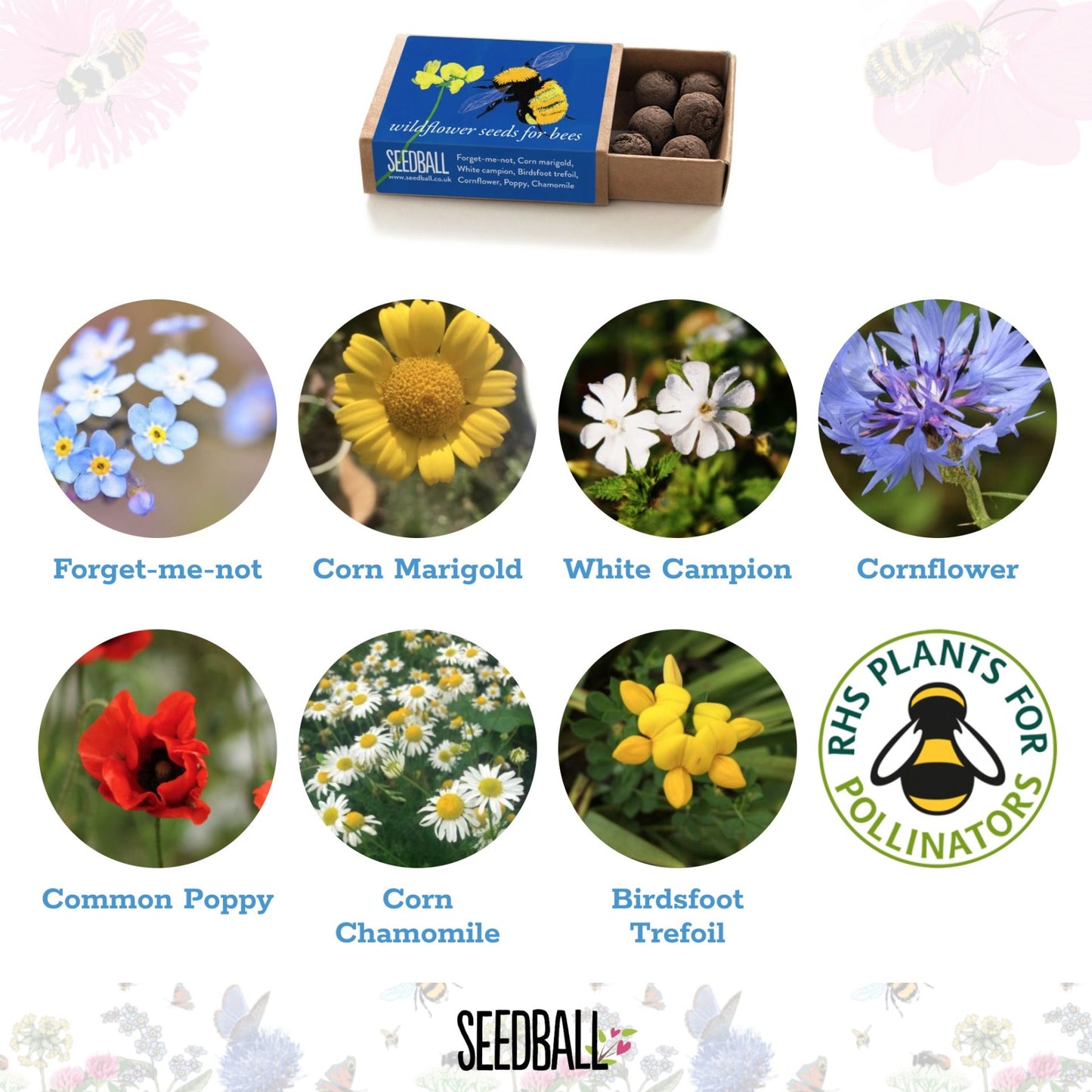 Bumble Bee Seedball matchbox