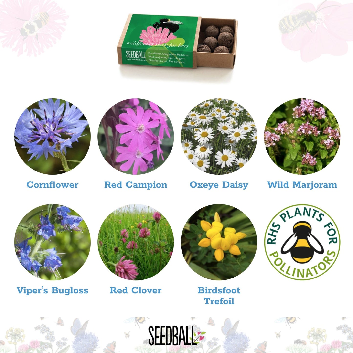 Bumble Bee Seedball matchbox