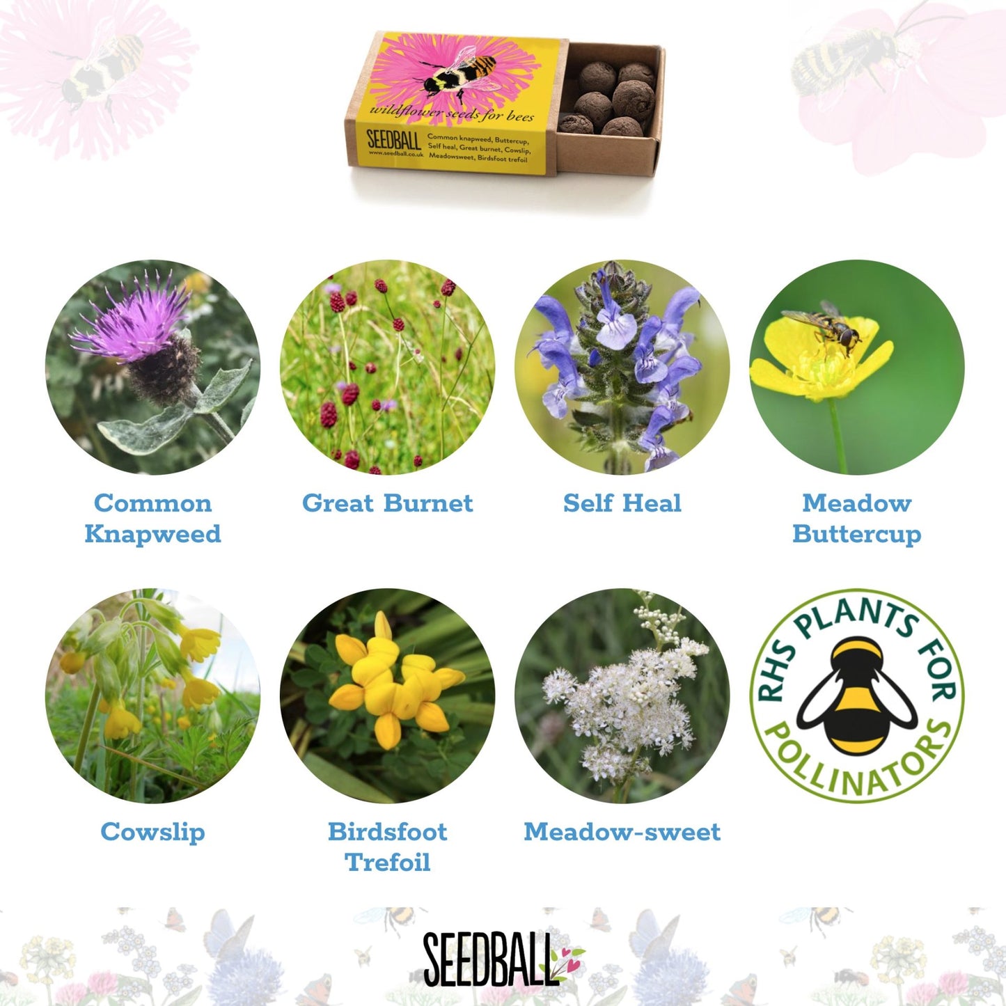 Bumble Bee Seedball matchbox